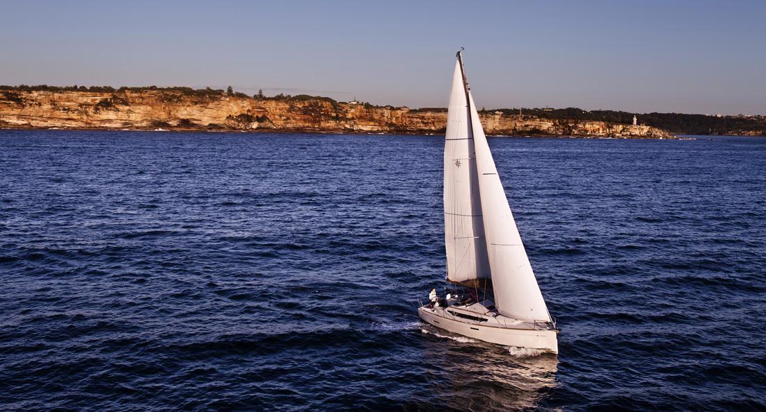 sea_coyote_jea